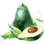 advocado-groen