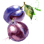 pruim-paars