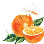 sisnasaapel-oranje